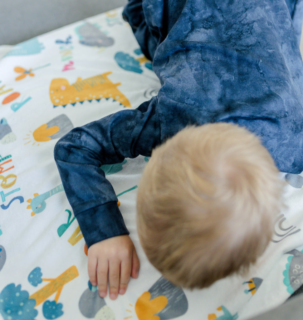 Baby & Toddler Minky Blanket - Dinoland Blue